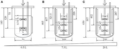 Process Intensification for an Insect Antimicrobial Peptide <mark class="highlighted">Elastin-Like</mark> Polypeptide Fusion Produced in Redox-Engineered Escherichia coli